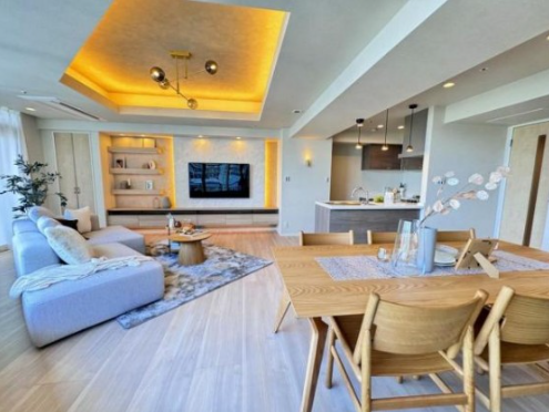 Tokyo Yamanote Line Shinagawa two bedroom tower for self occupation first class (3)