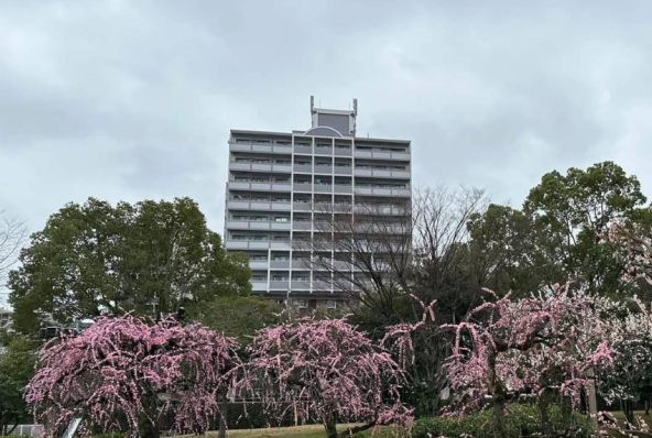 Investment Apartment in Hakata (1)