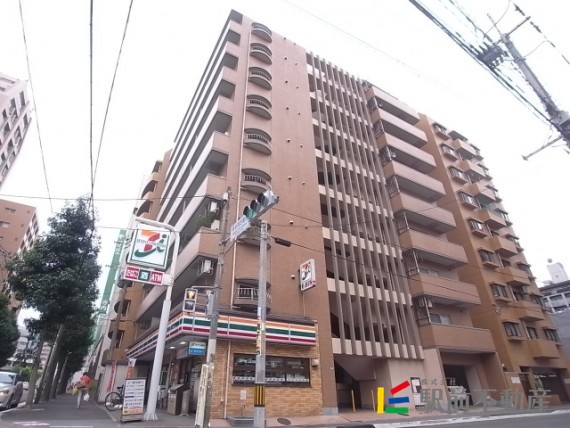 Investment Rental Apartment in Hakata Commercial District, Fukuoka (3)