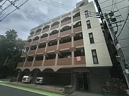 Fukuoka Entry Level Investment Pick Apartment near Hakata Station with Rental Contract for Sale (3)