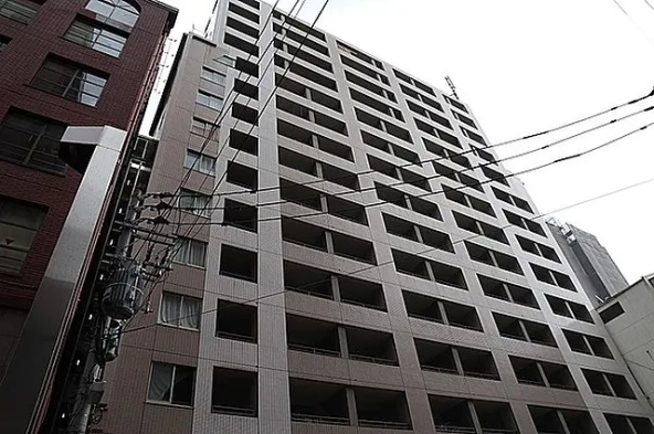 2 Mins from Station, Post 2000 Apartment with Tenancy (2)