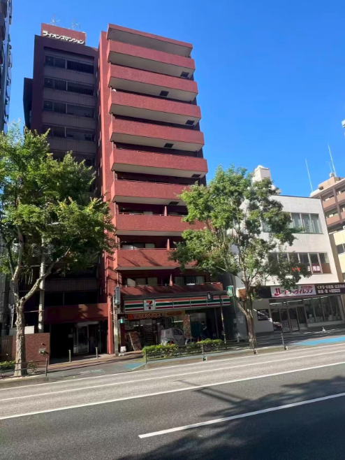 High Yield Tenanted Property near Ohori Park (10)