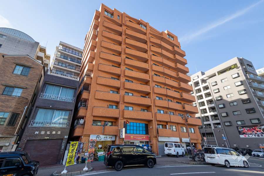 Large Unit in a Premium Apartment Building Naniwa Ward, Osaka (1)