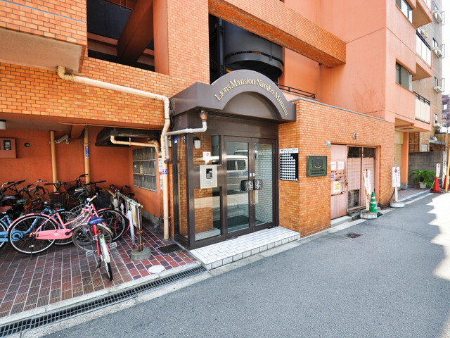 Large Unit in a Premium Apartment Building Naniwa Ward, Osaka (2)