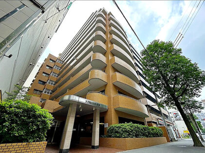 Tenanted Apartment Near Hakata Station with 5.33% Net Yield (2)