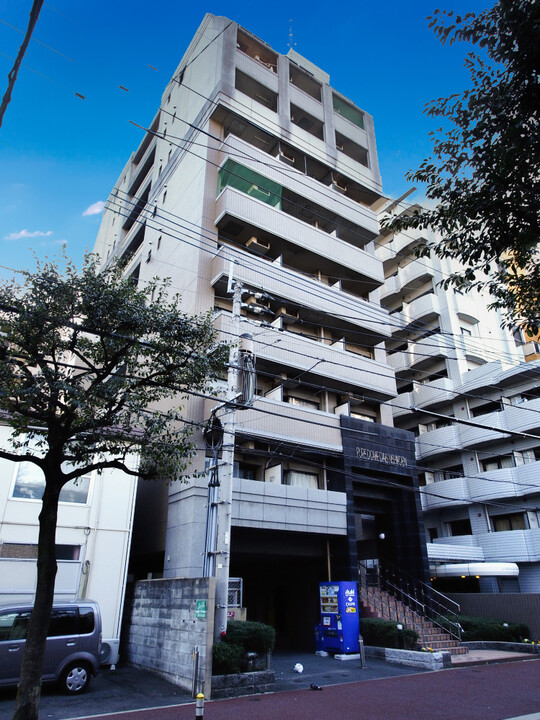 Tenanted Apartment for Sale in Chuo ku, Ohori Park Area2